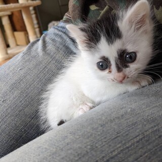 個性的でキュートな女の子