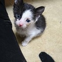 優しく、大事にしてくださる方！(T . T)