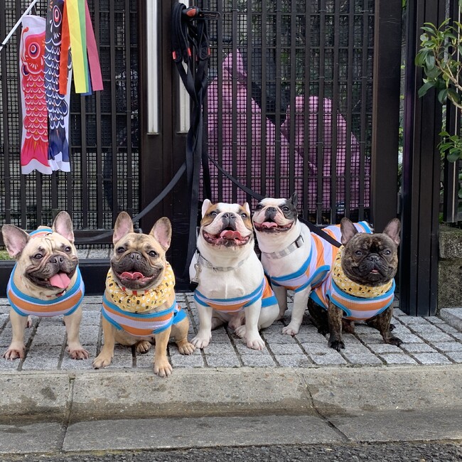 nozonozonoのカバー写真