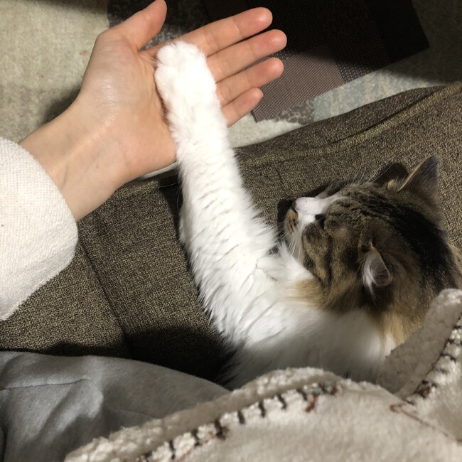 ntk0zのカバー写真