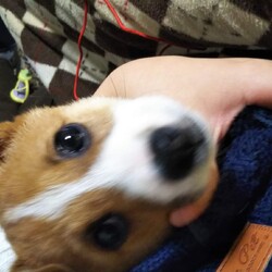 「結局全部中途半端になってしまいました。」サムネイル3