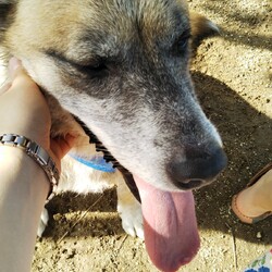 結局全部中途半端になってしまいました。