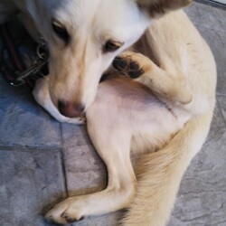 「結局全部中途半端になってしまいました。」サムネイル2