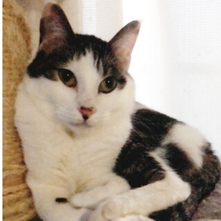 ぶちぶちくん　優しい甘えん坊さん