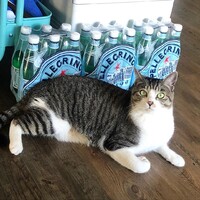 がんも