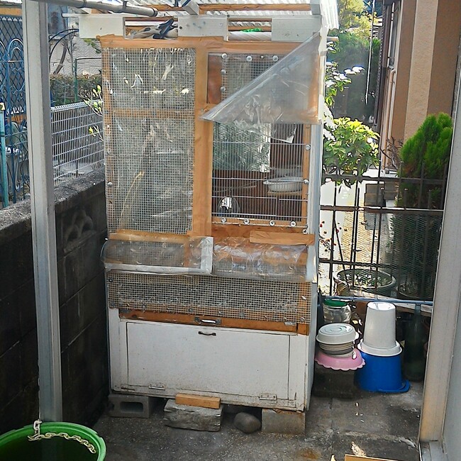 ひなぴおのカバー写真