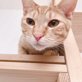 元気いっぱいな甘えんボーイ❤︎