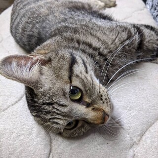 ウナ吉くん