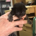 産まれたばかりの男の子