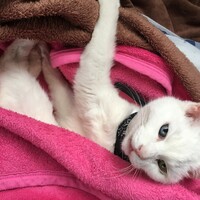 いってん
