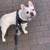 おこめ