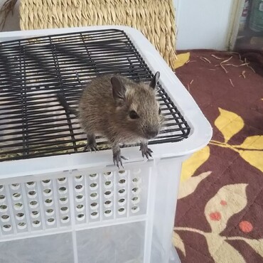 ちっちゃくて可愛い