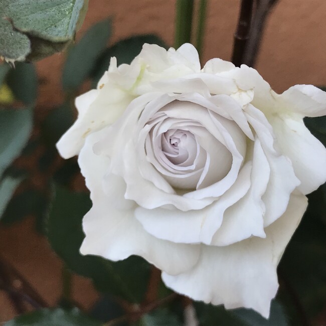 ka23のカバー写真