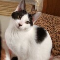 無責任な餌やりで捨てられた親子