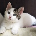 トライアルが決定しました！