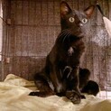 人馴れ抜群の甘えん坊さん