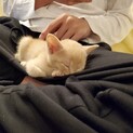 仲良し3兄妹！