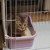 たぶん一歳になりました。検診も問題なしです❗️