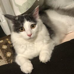 去勢手術も無事終えて