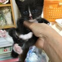 甘えん坊のクリちゃん