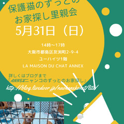 『保護猫のずっとのお家探し里親会』