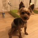 沢山のご応募ありがとうございました。