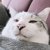 優花14