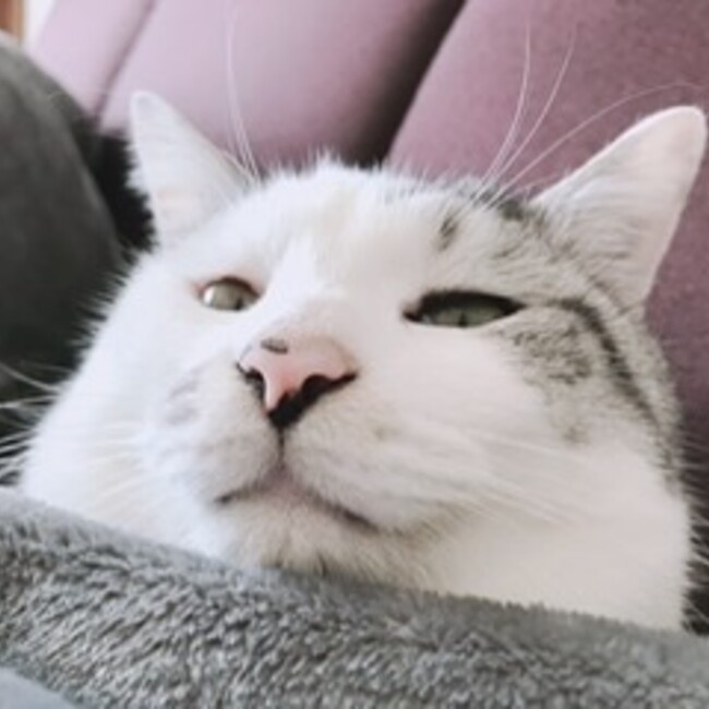 優花14のカバー写真