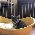一時募集停止させて頂きます。