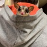 に☆じ