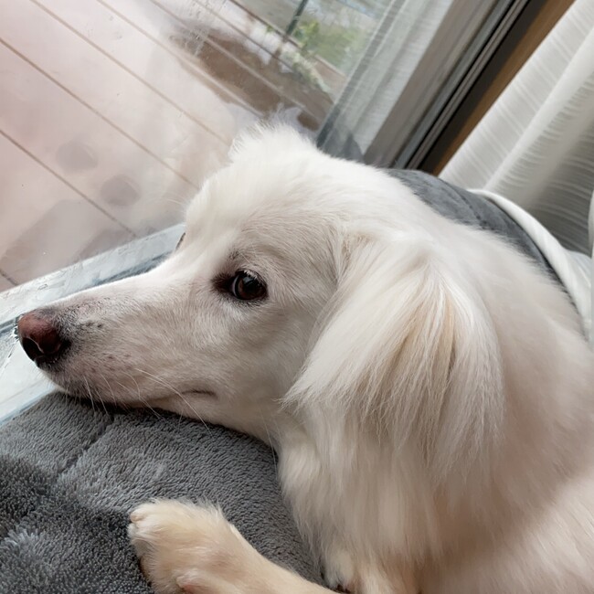 あきこ0221のカバー写真