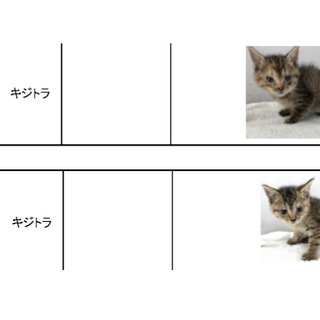 譲渡されました。