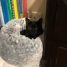 このクッション、買ってから半年経って初めて使ってくれました!!