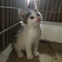 ヅラ可愛い照善くんもうすぐ2ヶ月