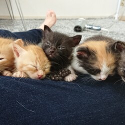 茶葉ずの医療費のこと。