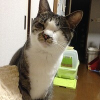 しおんプーザ