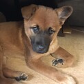 募集一時停止！無邪気な鼻グロ＊めいちゃん