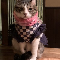 ありさ