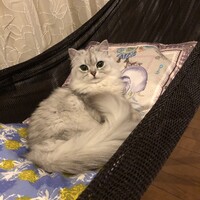 ねる