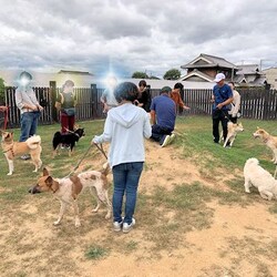 AWAしつけ教室