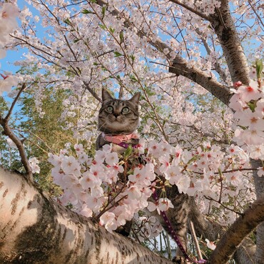 の写真