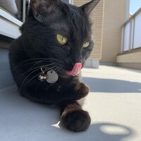 すだち