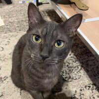 ミッキー(愛称:ミー)
