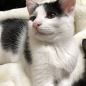 甘えん坊ご希望の方は　あっくん❤︎