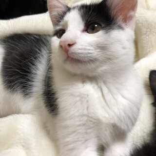 甘えん坊ご希望の方は　あっくん❤︎