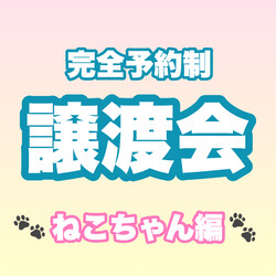 完全予約制 譲渡会(ねこちゃん編)