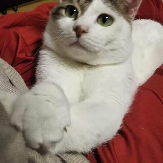 白血病は陰性だった！健康体！大地くん！
