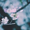 まめちゃーん