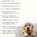 かわいい中型の大人しい女の子【県外譲渡可】
