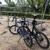 たいやきとどらやき
